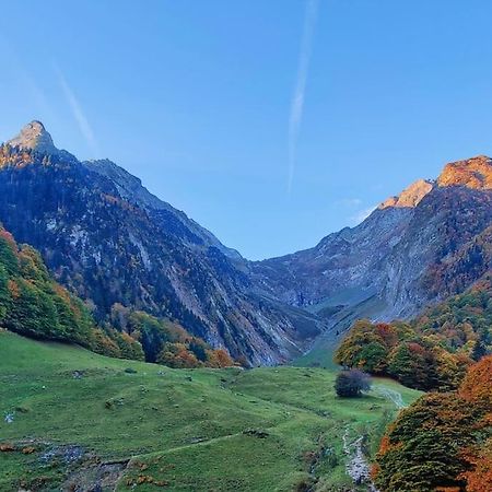 Logement 6 Pers Au Coeur Des Montagnes Pyreneennes Linge De Maison Et Papier Toilette Non Fournis Boutx 外观 照片