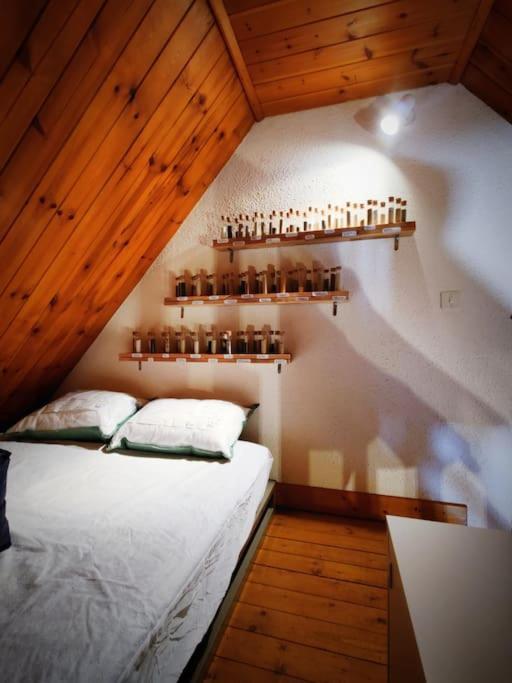 Logement 6 Pers Au Coeur Des Montagnes Pyreneennes Linge De Maison Et Papier Toilette Non Fournis Boutx 外观 照片
