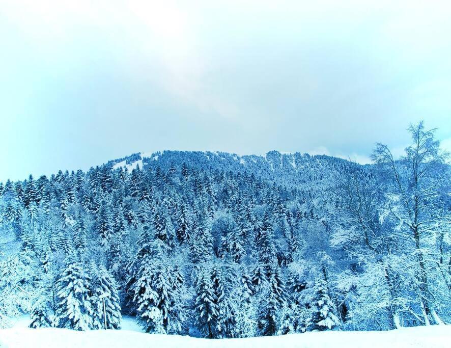 Logement 6 Pers Au Coeur Des Montagnes Pyreneennes Linge De Maison Et Papier Toilette Non Fournis Boutx 外观 照片