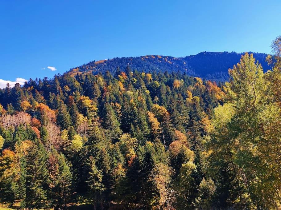 Logement 6 Pers Au Coeur Des Montagnes Pyreneennes Linge De Maison Et Papier Toilette Non Fournis Boutx 外观 照片