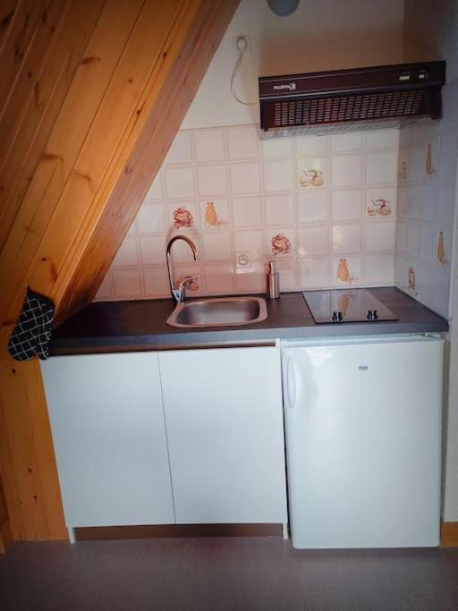 Logement 6 Pers Au Coeur Des Montagnes Pyreneennes Linge De Maison Et Papier Toilette Non Fournis Boutx 外观 照片