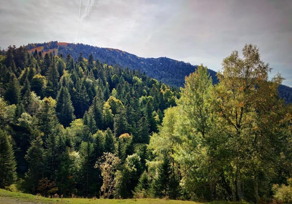Logement 6 Pers Au Coeur Des Montagnes Pyreneennes Linge De Maison Et Papier Toilette Non Fournis Boutx 外观 照片